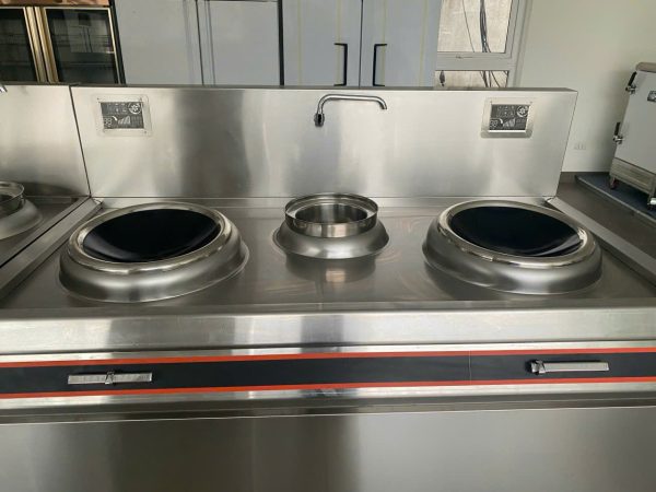 Bếp từ công nghiệp đôi mặt lõm